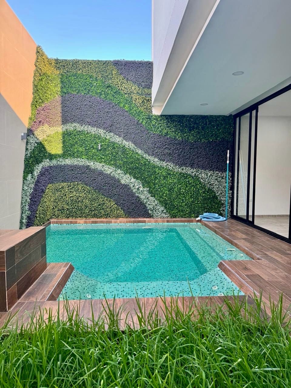 Piscina con jacuzzi de mosaico veneciano y muro verde, casa en Real Campestre Cluster 4
